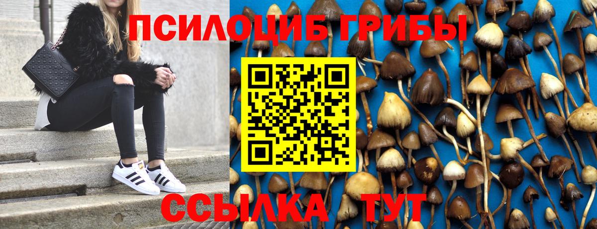 Гусь-Хрустальный  Галлюциногенные грибы MAGIC MUSHROOMS  Вход с VPN 